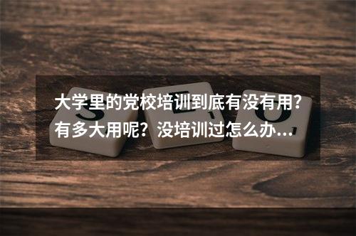 大学里的党校培训到底有没有用？有多大用呢？没培训过怎么办呢？