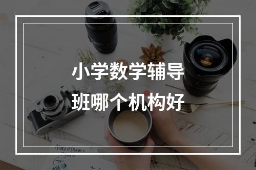 小学数学辅导班哪个机构好