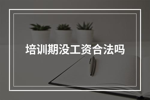 培训期没工资合法吗