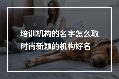 培训机构的名字怎么取时尚新颖的机构好名