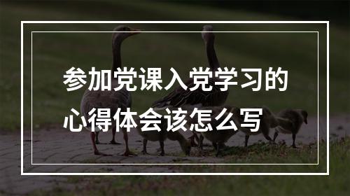 参加党课入党学习的心得体会该怎么写