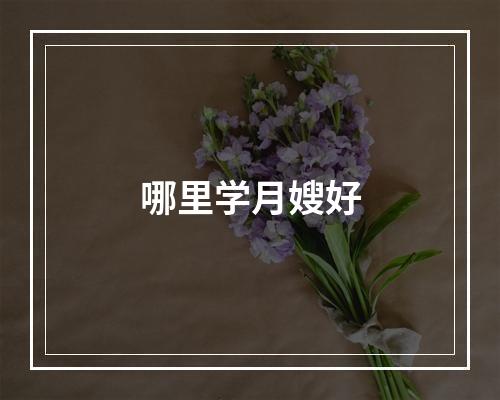 哪里学月嫂好