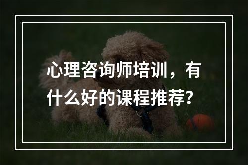 心理咨询师培训，有什么好的课程推荐？