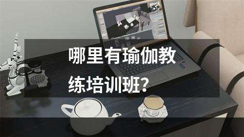 哪里有瑜伽教练培训班？