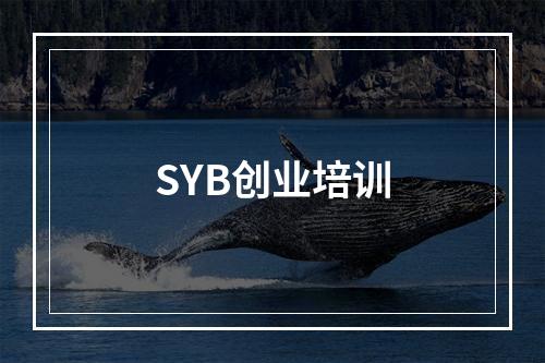 SYB创业培训