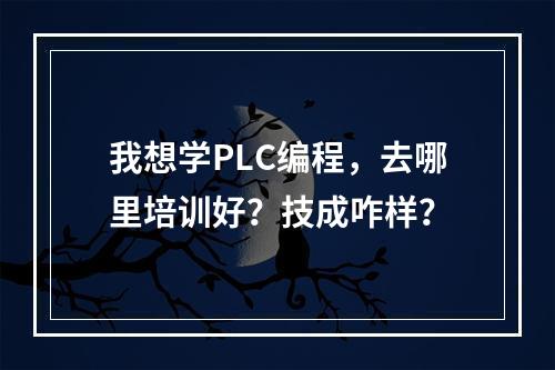 我想学PLC编程，去哪里培训好？技成咋样？