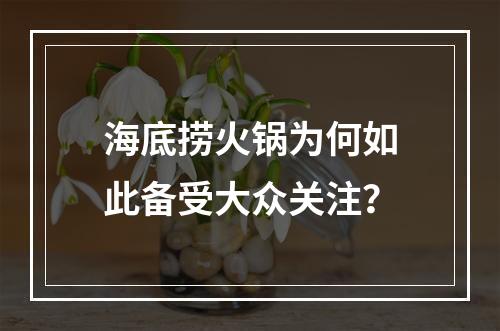 海底捞火锅为何如此备受大众关注？