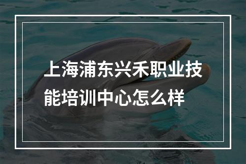 上海浦东兴禾职业技能培训中心怎么样