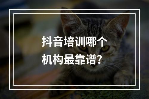 抖音培训哪个机构最靠谱？