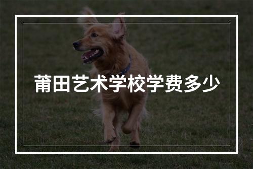 莆田艺术学校学费多少