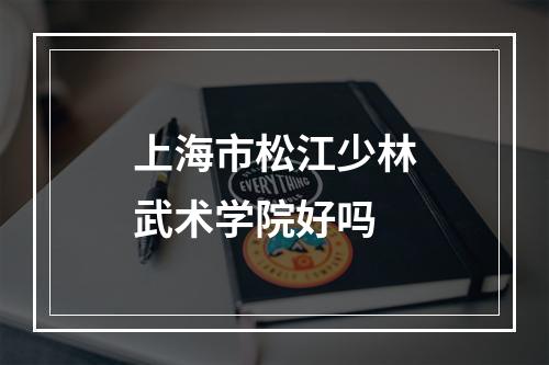 上海市松江少林武术学院好吗