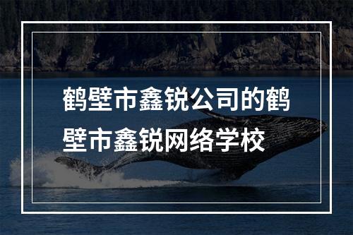 鹤壁市鑫锐公司的鹤壁市鑫锐网络学校