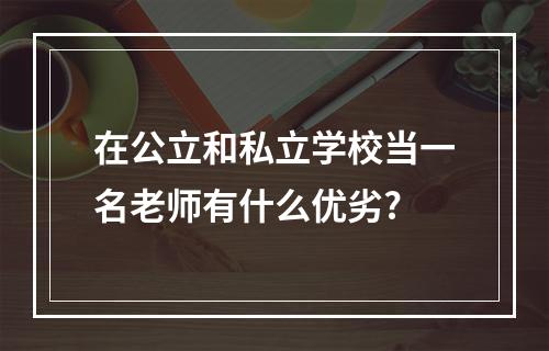 在公立和私立学校当一名老师有什么优劣?