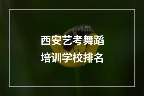 西安艺考舞蹈培训学校排名