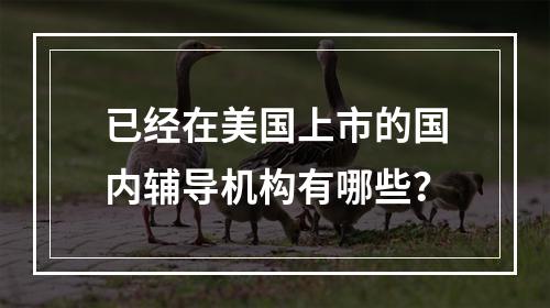 已经在美国上市的国内辅导机构有哪些？