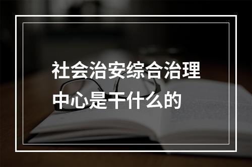 社会治安综合治理中心是干什么的