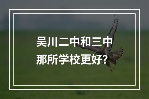 吴川二中和三中那所学校更好？