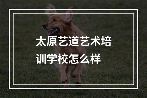 太原艺道艺术培训学校怎么样