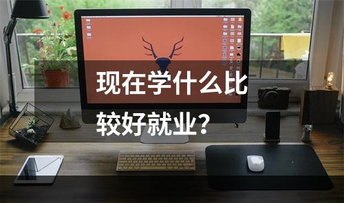 现在学什么比较好就业？