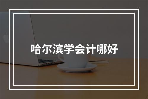 哈尔滨学会计哪好