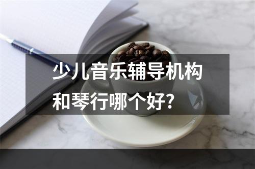 少儿音乐辅导机构和琴行哪个好?