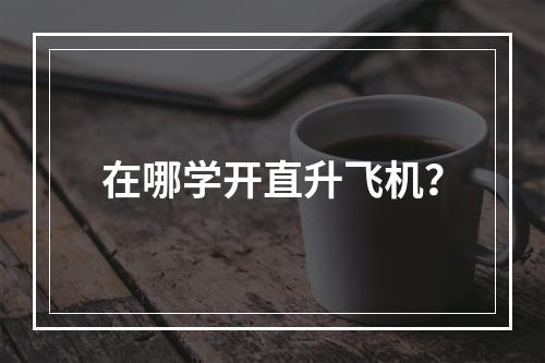 在哪学开直升飞机？