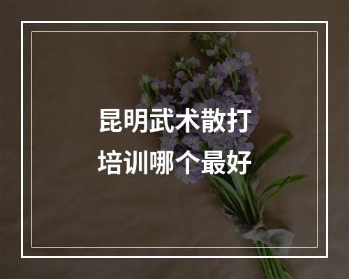 昆明武术散打培训哪个最好