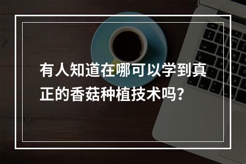 有人知道在哪可以学到真正的香菇种植技术吗？