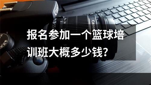 报名参加一个篮球培训班大概多少钱？