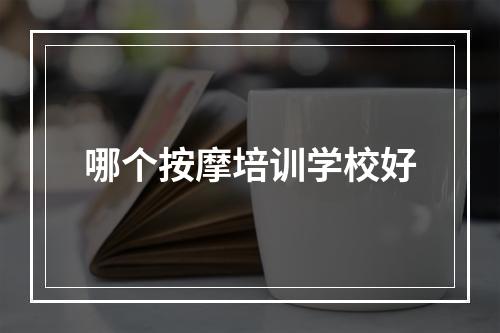 哪个按摩培训学校好