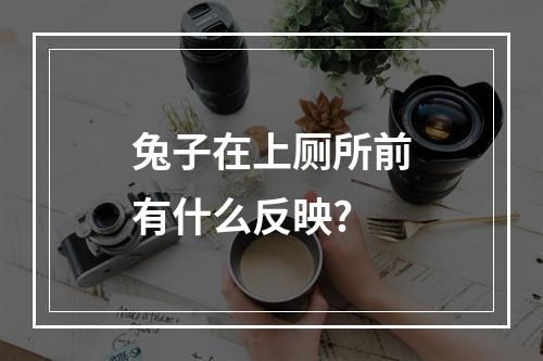 兔子在上厕所前有什么反映?