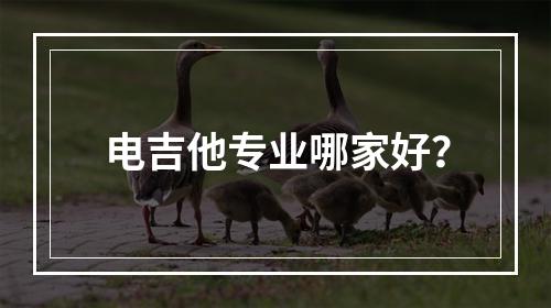 电吉他专业哪家好？