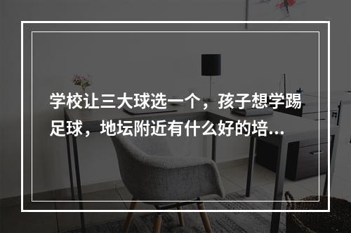 学校让三大球选一个，孩子想学踢足球，地坛附近有什么好的培训班吗？