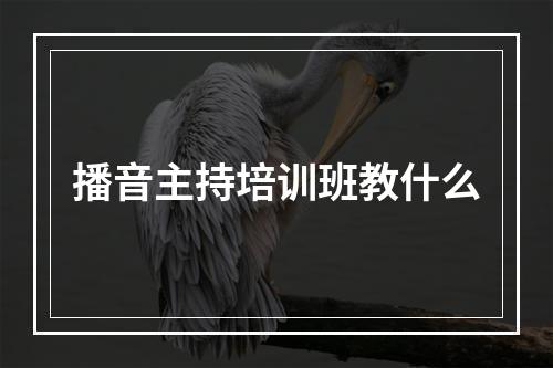 播音主持培训班教什么