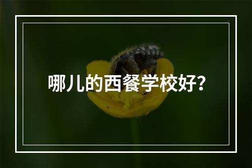 哪儿的西餐学校好？