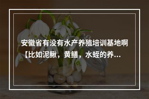 安徽省有没有水产养殖培训基地啊【比如泥鳅，黄鳝，水蛭的养殖技术】