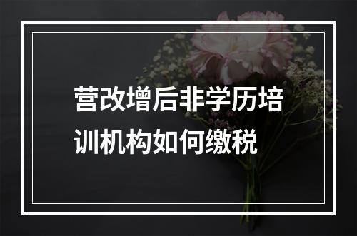 营改增后非学历培训机构如何缴税