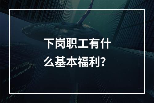 下岗职工有什么基本福利？