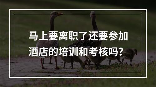 马上要离职了还要参加酒店的培训和考核吗？