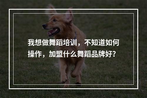 我想做舞蹈培训，不知道如何操作，加盟什么舞蹈品牌好？