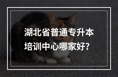 湖北省普通专升本培训中心哪家好？