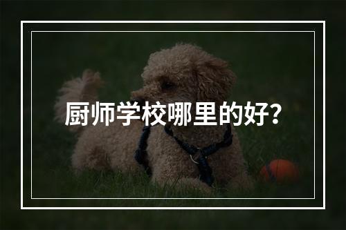 厨师学校哪里的好？