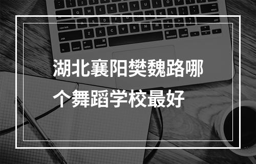 湖北襄阳樊魏路哪个舞蹈学校最好