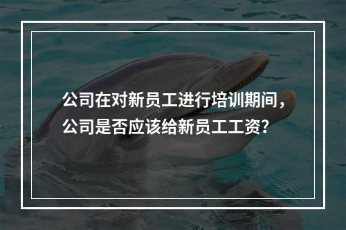 公司在对新员工进行培训期间，公司是否应该给新员工工资？