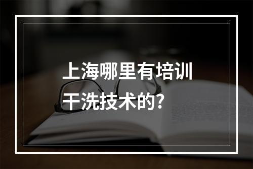 上海哪里有培训干洗技术的?