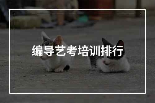 编导艺考培训排行