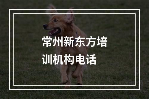 常州新东方培训机构电话