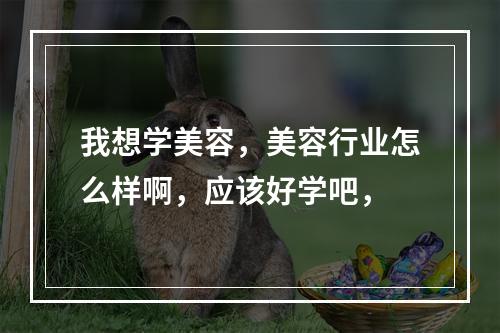 我想学美容，美容行业怎么样啊，应该好学吧，