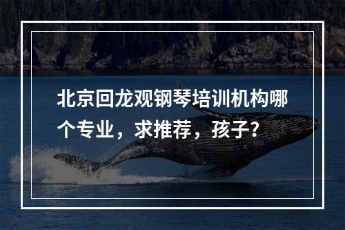 北京回龙观钢琴培训机构哪个专业，求推荐，孩子？