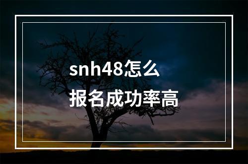 snh48怎么报名成功率高